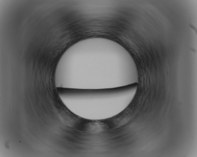 X0000091340316200708311501