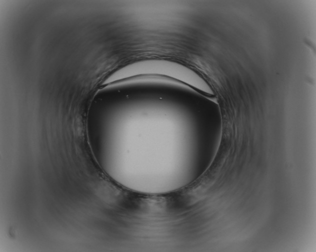 X0000091340317200708311501