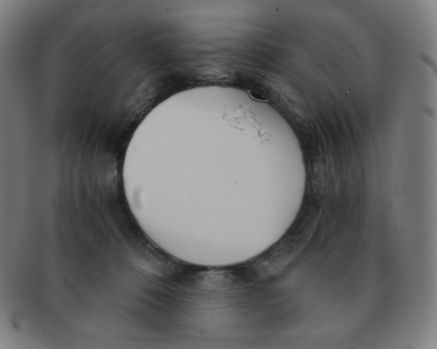 X0000091340320200708311501