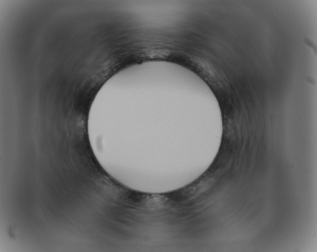 X0000091340321200708311501