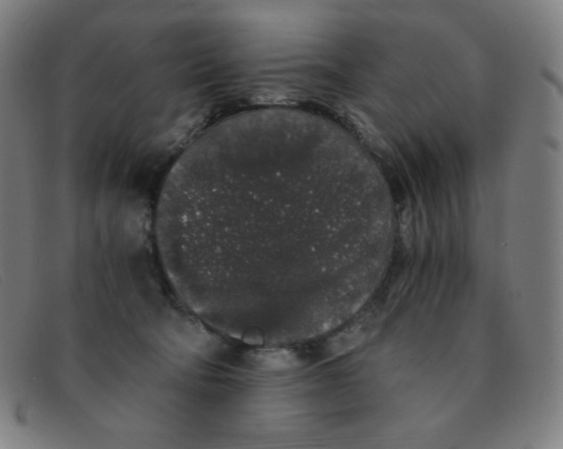 X0000091340322200708311501