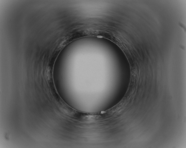 X0000091340323200708311501