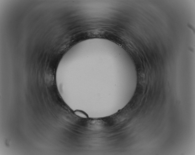 X0000091340324200708311501