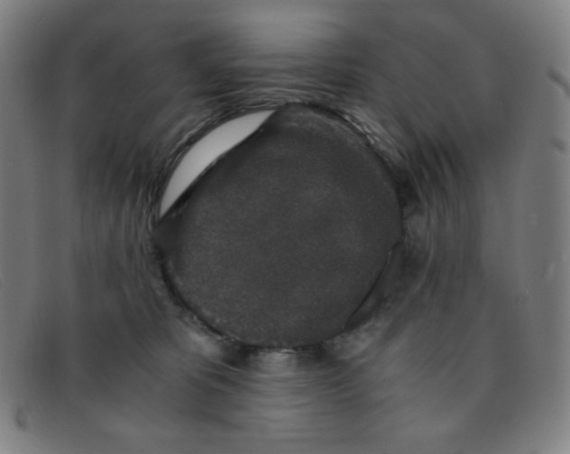 X0000091340325200708311501