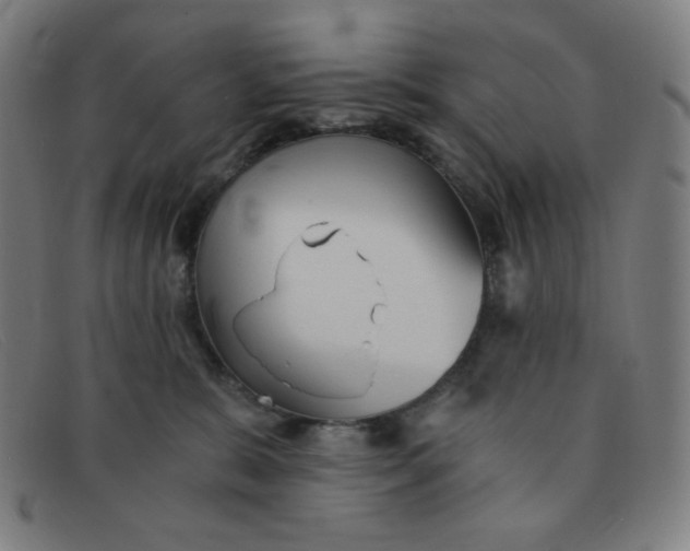 X0000091340327200708311501