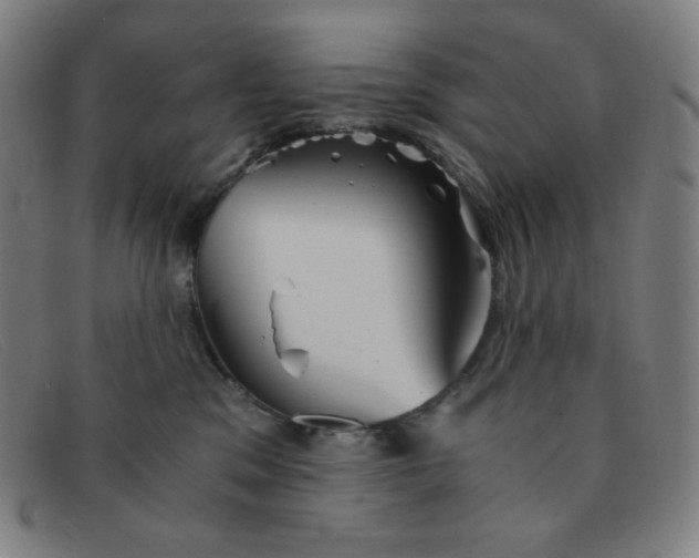 X0000091340329200708311501