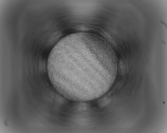 X0000091340330200708311501