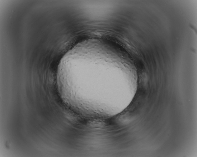 X0000091340331200708311501