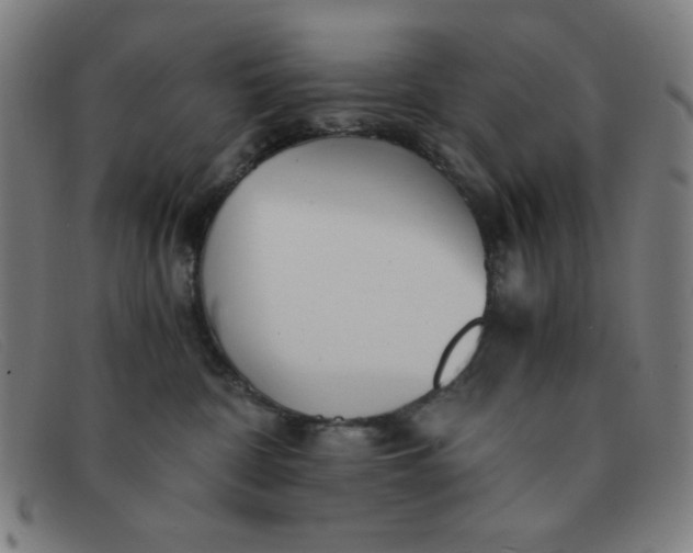 X0000091340332200708311501