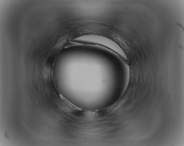 X0000091340333200708311501