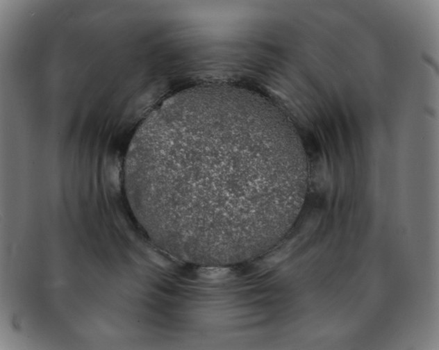 X0000091340334200708311501