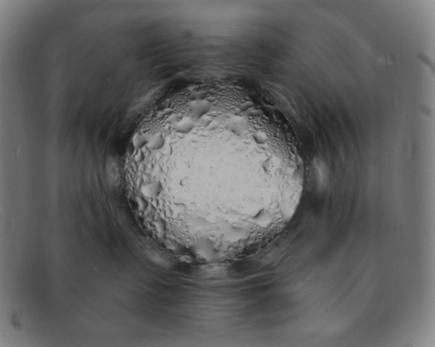 X0000091340335200708311501