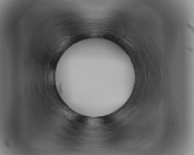 X0000091340336200708311501