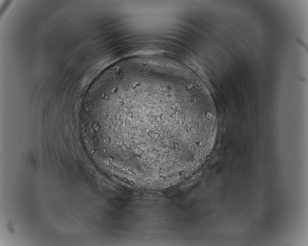 X0000091340337200708311500