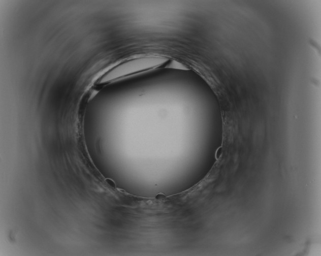 X0000091340338200708311500