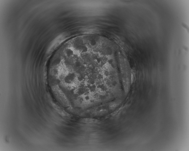 X0000091340339200708311500