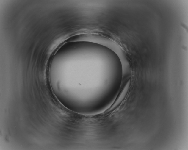 X0000091340340200708311501