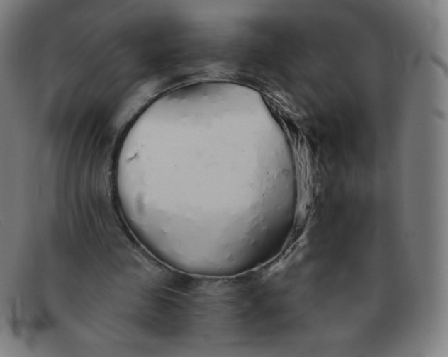 X0000091340341200708311501