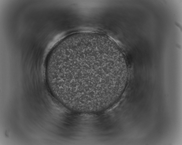 X0000091340343200708311501