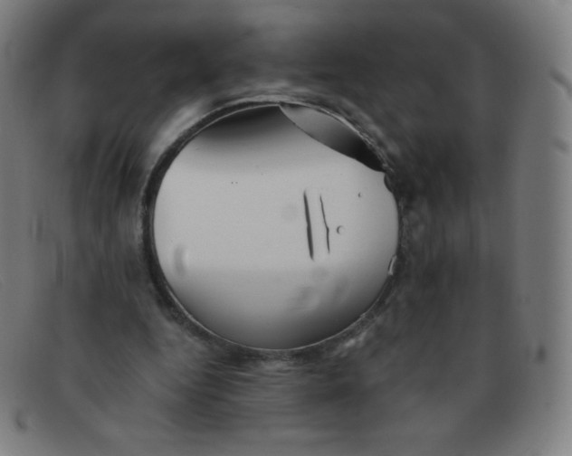 X0000091340344200708311501