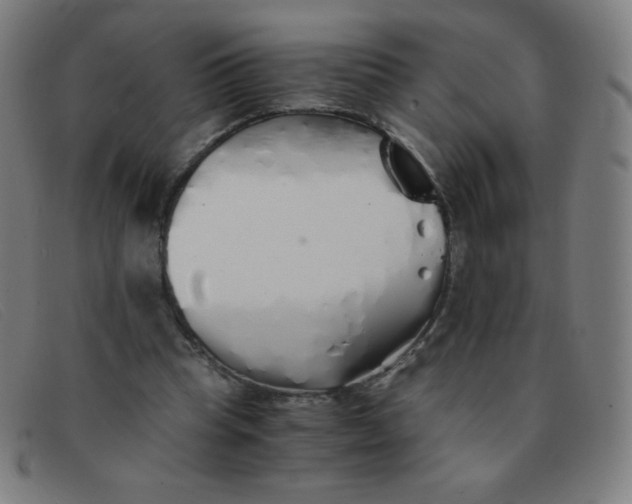 X0000091340345200708311501