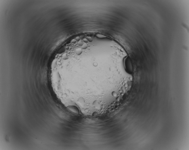 X0000091340346200708311501