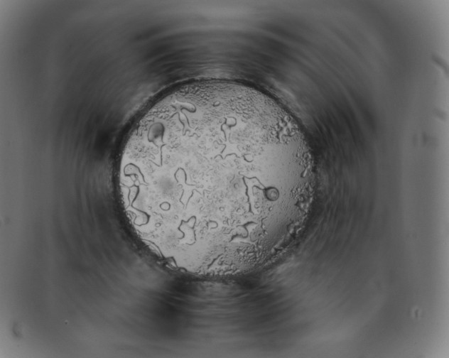 X0000091340347200708311501