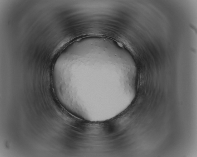 X0000091340349200708311501