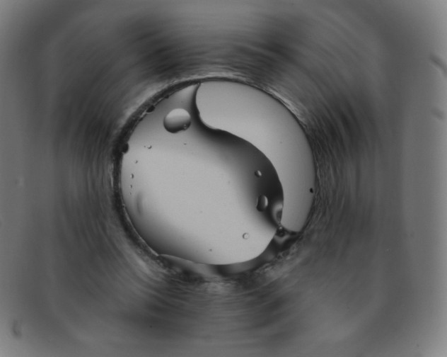 X0000091340350200708311501