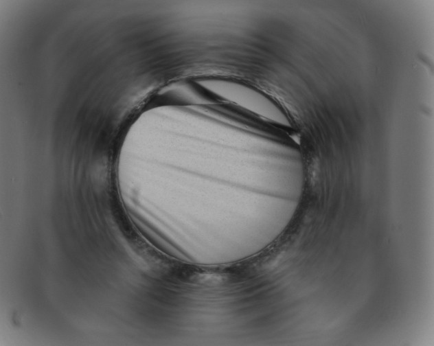 X0000091340352200708311501