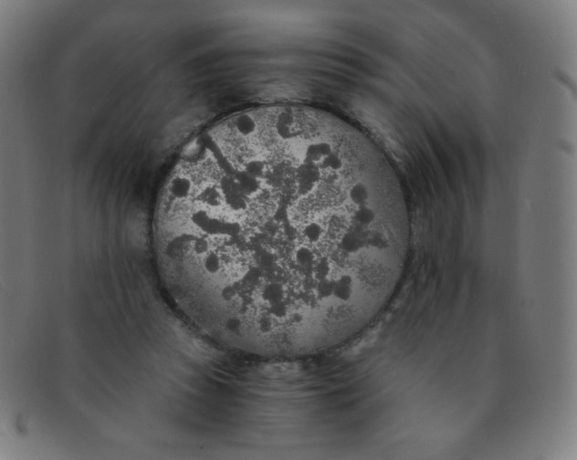 X0000091340353200708311501