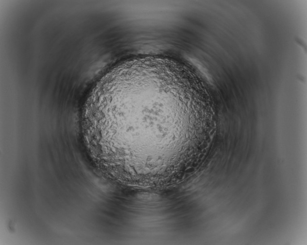 X0000091340354200708311501