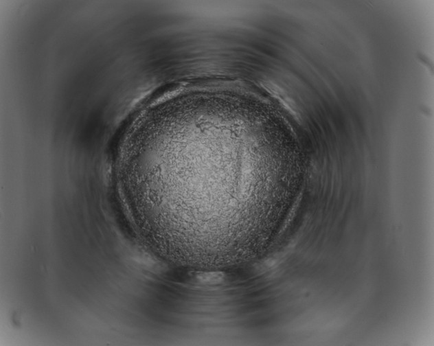 X0000091340355200708311501