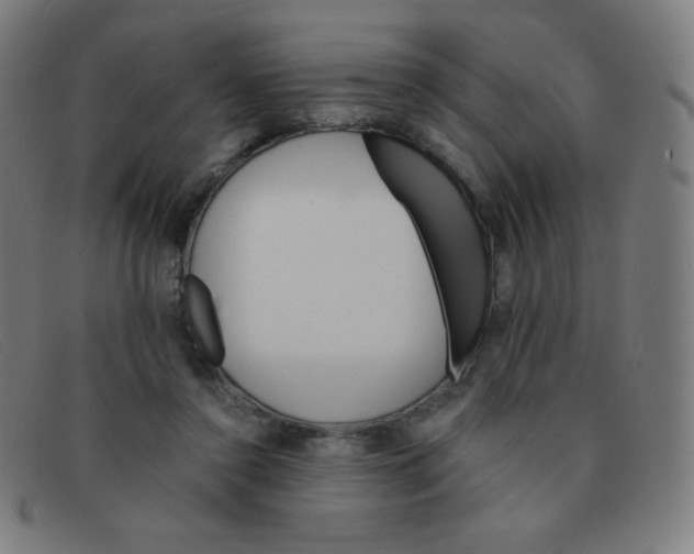 X0000091340356200708311501