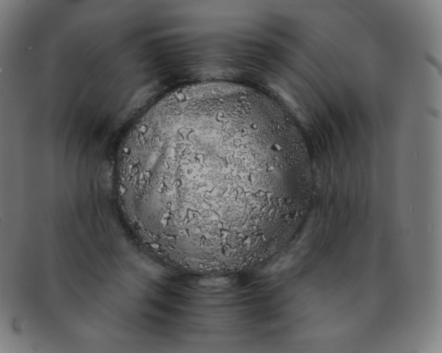 X0000091340357200708311501