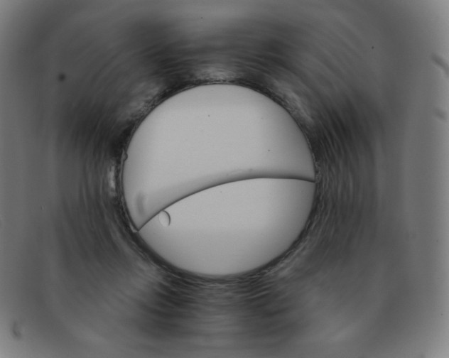 X0000091340358200708311501