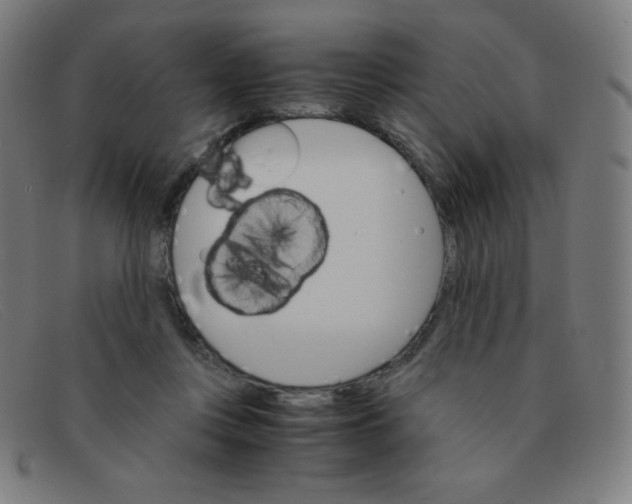 X0000091340359200708311501