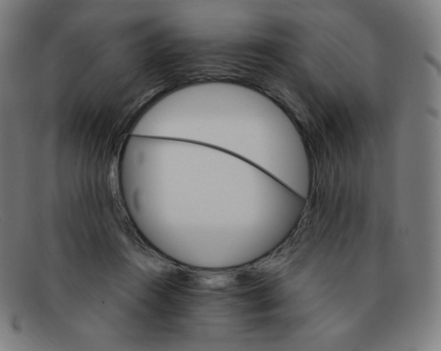 X0000091340360200708311501