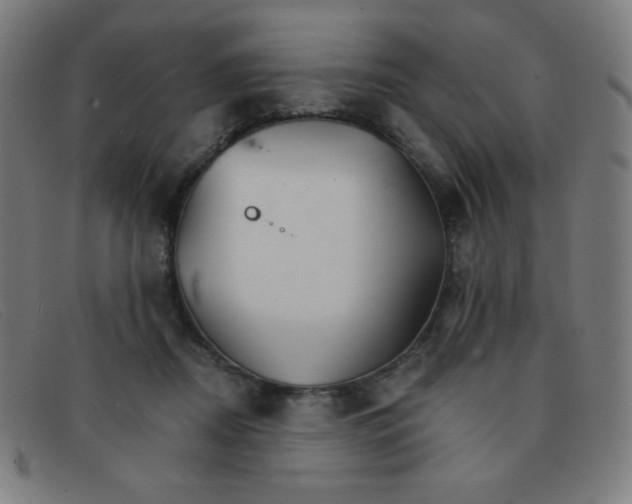 X0000091340362200708311501