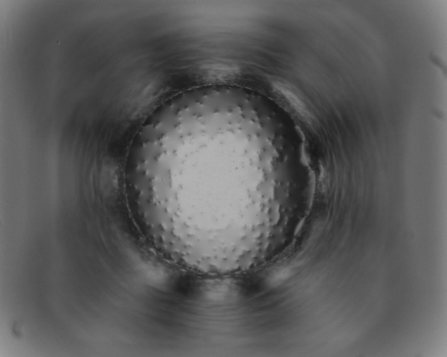 X0000091340363200708311501