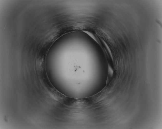 X0000091340364200708311501