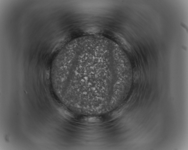 X0000091340365200708311501