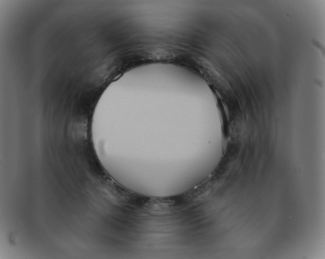 X0000091340368200708311501