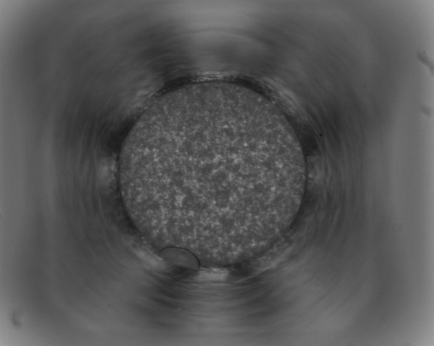 X0000091340369200708311501