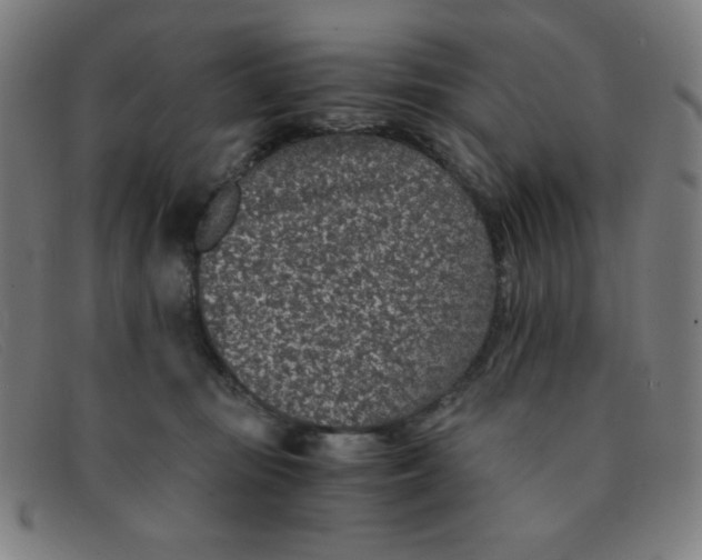 X0000091340371200708311501