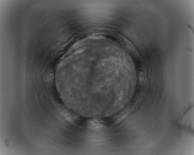 X0000091340372200708311501