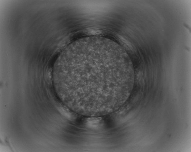 X0000091340373200708311501