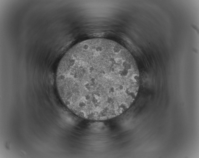 X0000091340374200708311501