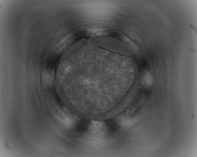 X0000091340376200708311501