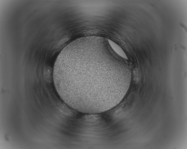 X0000091340378200708311501